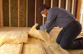 Best Weatherproofing Services  in Weston Lakes, TX