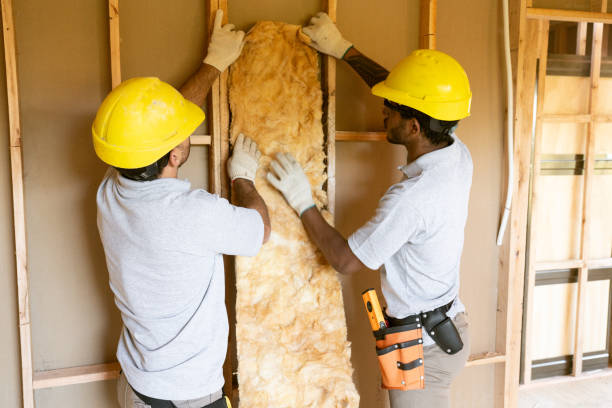 Best Insulation Air Sealing  in Weston Lakes, TX